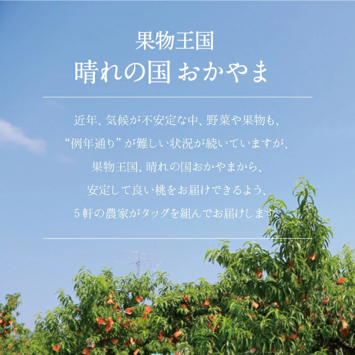 「原産地」だからと慢心しない、経験と知識、そして桃への愛情