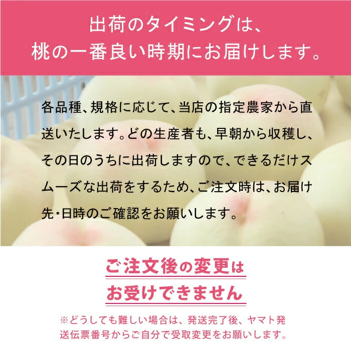 最高の状態の白桃をお届け