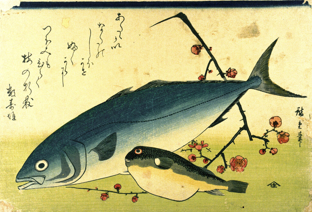 歌川広重「魚づくし いなだ ふぐに梅」
