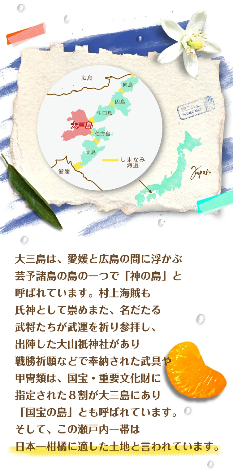 日本一の柑橘王国「大三島」が育む、奇跡の「🍊完熟みかん」