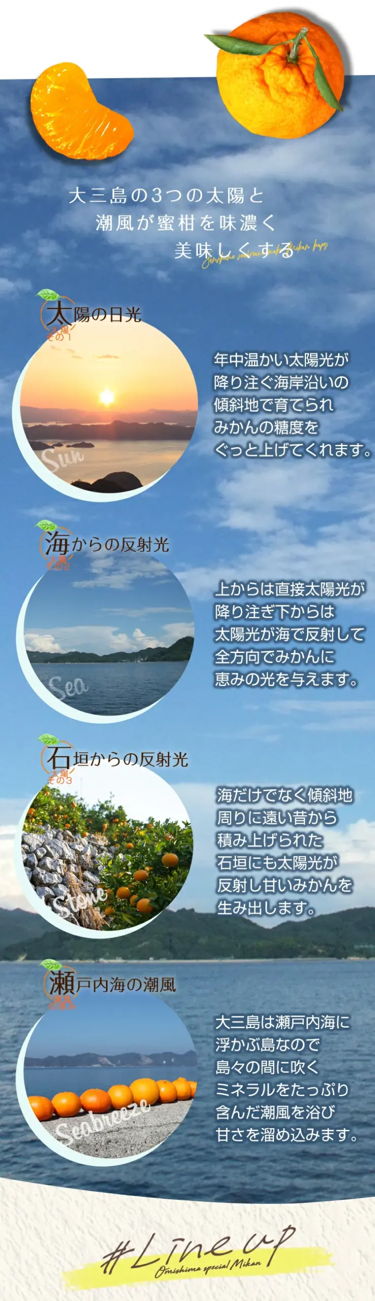 【咲】島みかんジュース/大切な人へ贈る、大三島の恵みと「癒し」のギフト