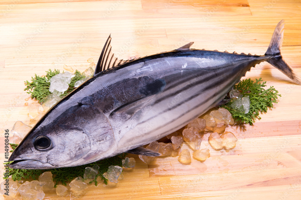 鰹は「初鰹」と「戻り鰹」のどちらが良いの?