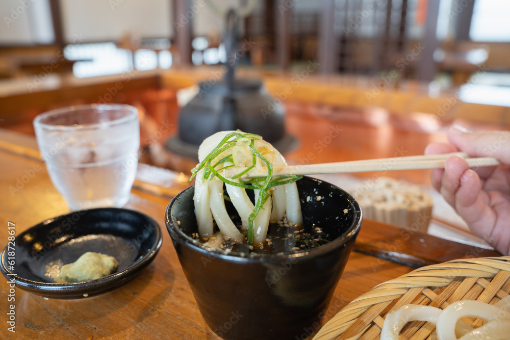ざるうどん 讃岐うどん
