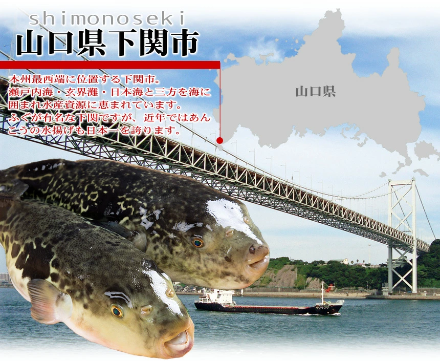 ふぐの本場、山口県下関から直送される、「朝獲れ活締め 下関🐡とらふぐ鍋セット」