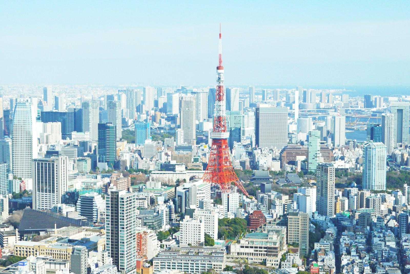 東京の郷土料理やスイーツ、名産品などグルメ情報をご紹介。