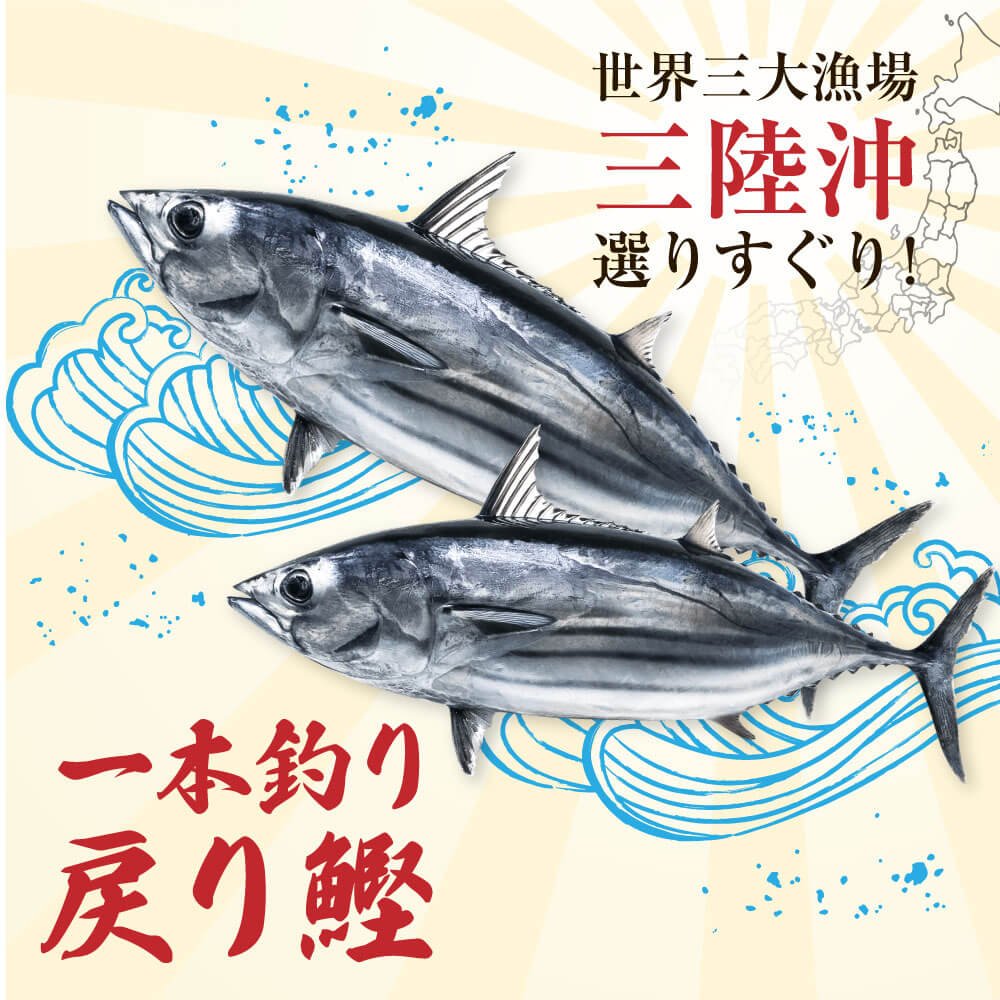 「戻り鰹」は、本州と北海道の間にある豊かな漁場で栄養豊富な餌をたっぷりと食べ、産卵のために南下して戻ってきた鰹のこと。