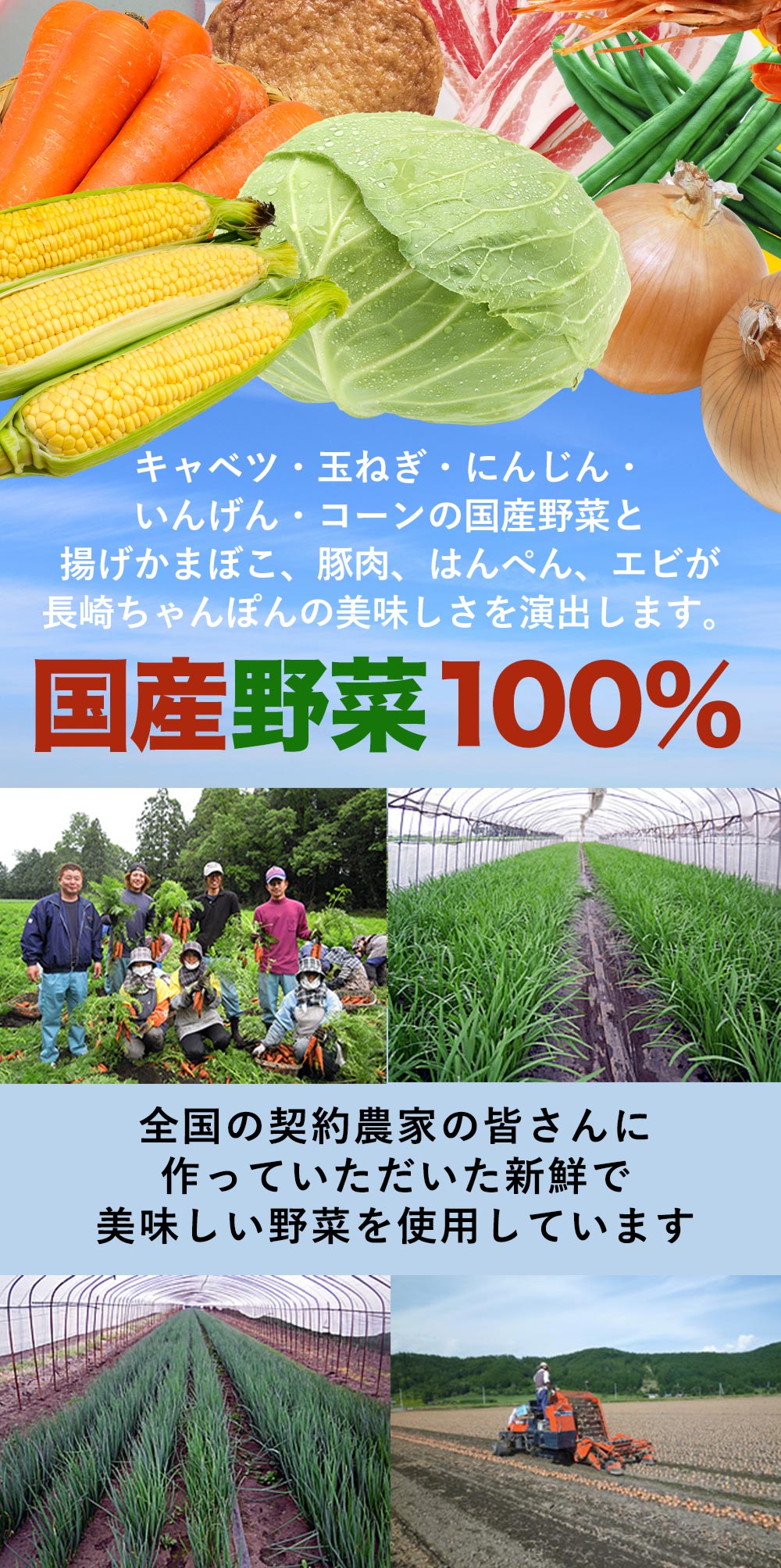 野菜を食べるスープ！厳選した国産野菜のパワー
