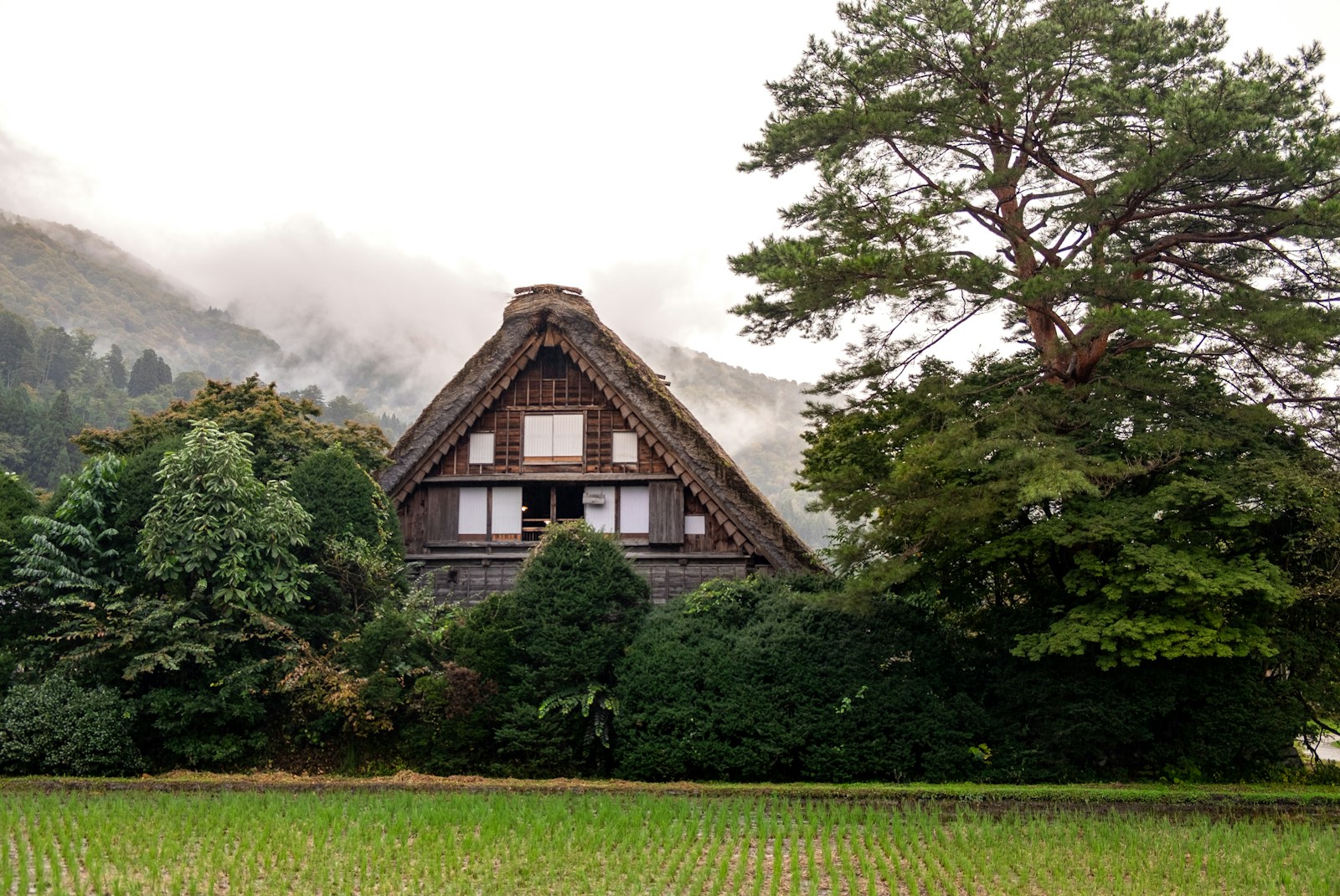 ます寿司やホタルイカ、寒ブリ、シロエビなど富山を代表する海鮮や、富山の郷土料理、ソウルフード、スイーツや名物料理などをご紹介。