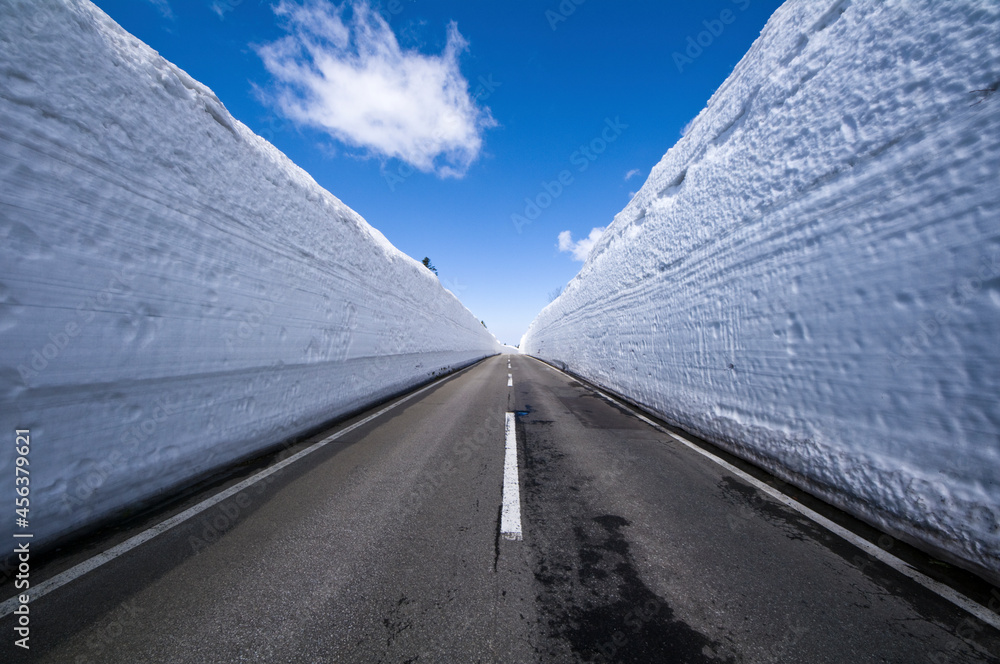 日本、青森県、八甲田ゴールドライン、雪の回廊
