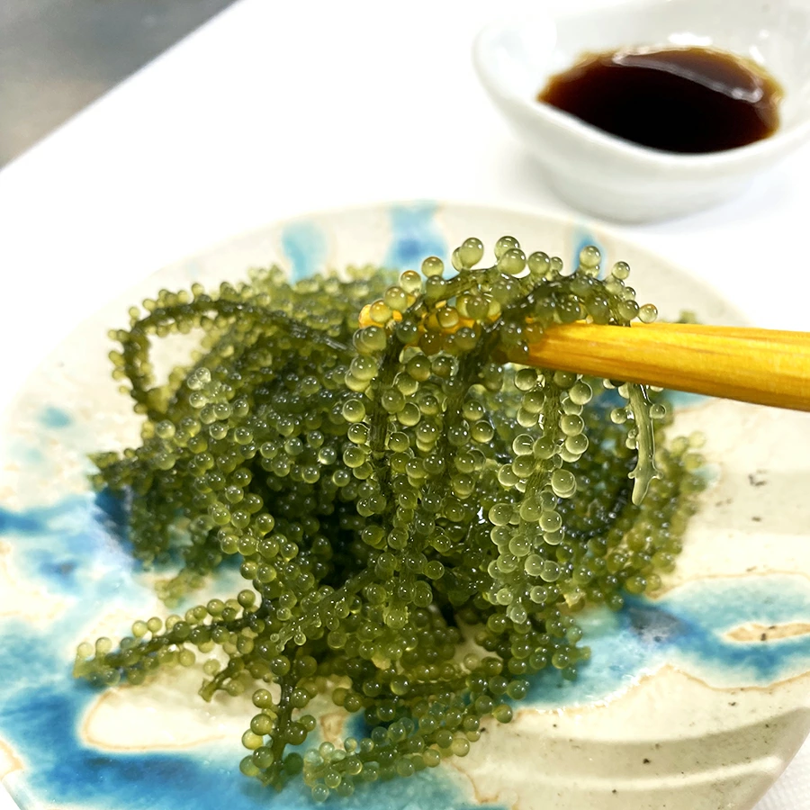 美味しい「グリーンキャビア」で、いつまでも美しく、元気で健康に