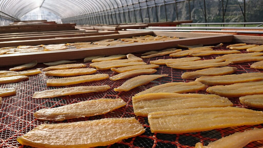 茨城名産の干し芋。ふかして天日干しにする。平干し芋は事前にスライス。