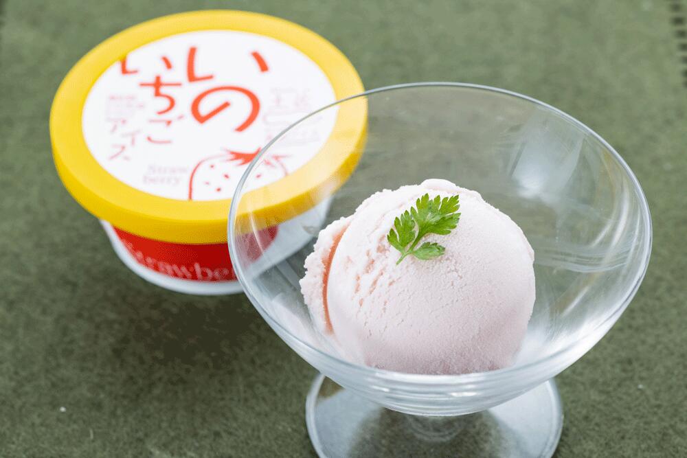＜高知アイス＞いのいちごアイス