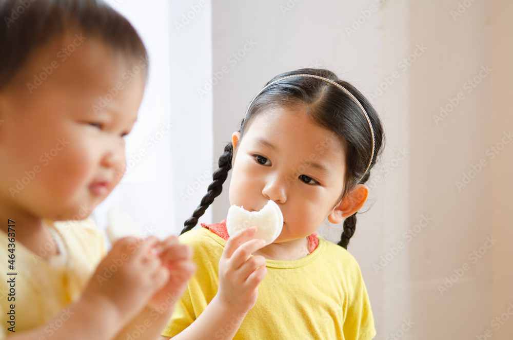 小さなころから身近な存在だから直感で理解できるのかも。