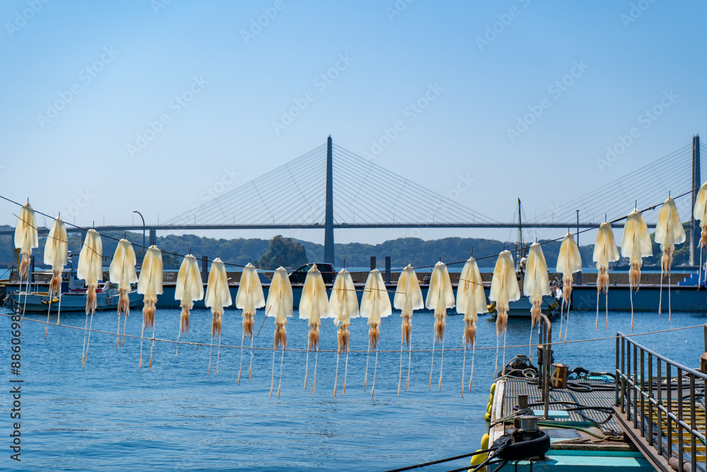 加部島と九州を繋ぐ呼子大橋と呼子名物のイカの天日干し