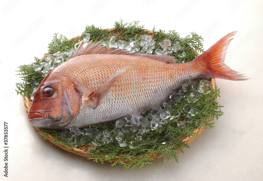 通を唸らせるのが鯛