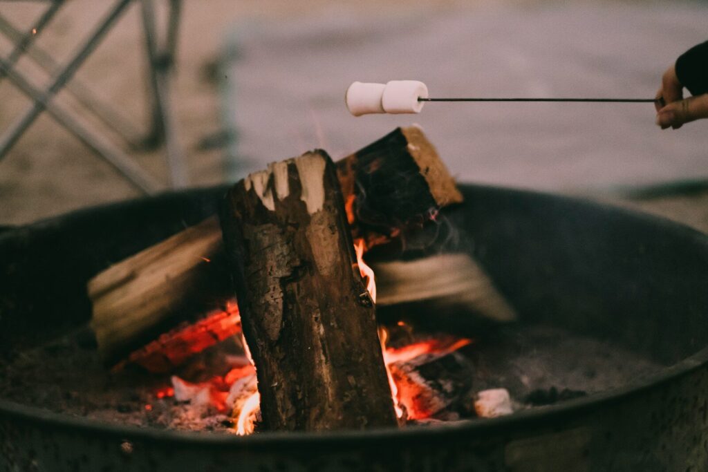 キャンプ飯にもオススメの「かしわめし」