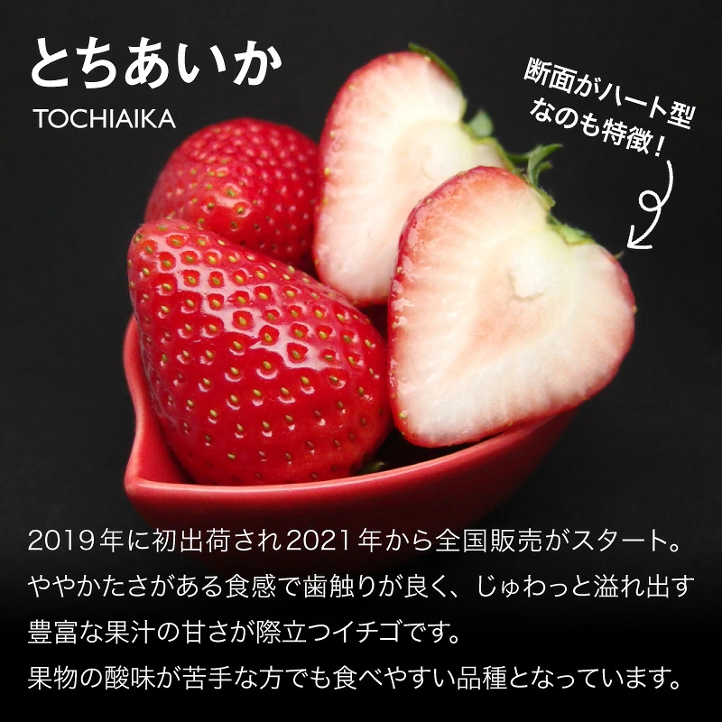 【とちおとめ超えの甘さ！？】旬の「とちあいか」を急速冷凍で閉じ込めた農家のプライド