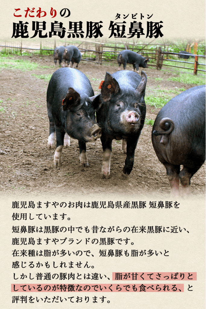 【伝説的な稀少ブランド豚】昔ながらの在来種に近い「短鼻豚」の甘くさっぱりとした極上脂<